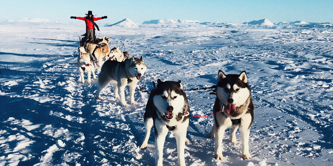 Iceland: A True Winter Wonderland